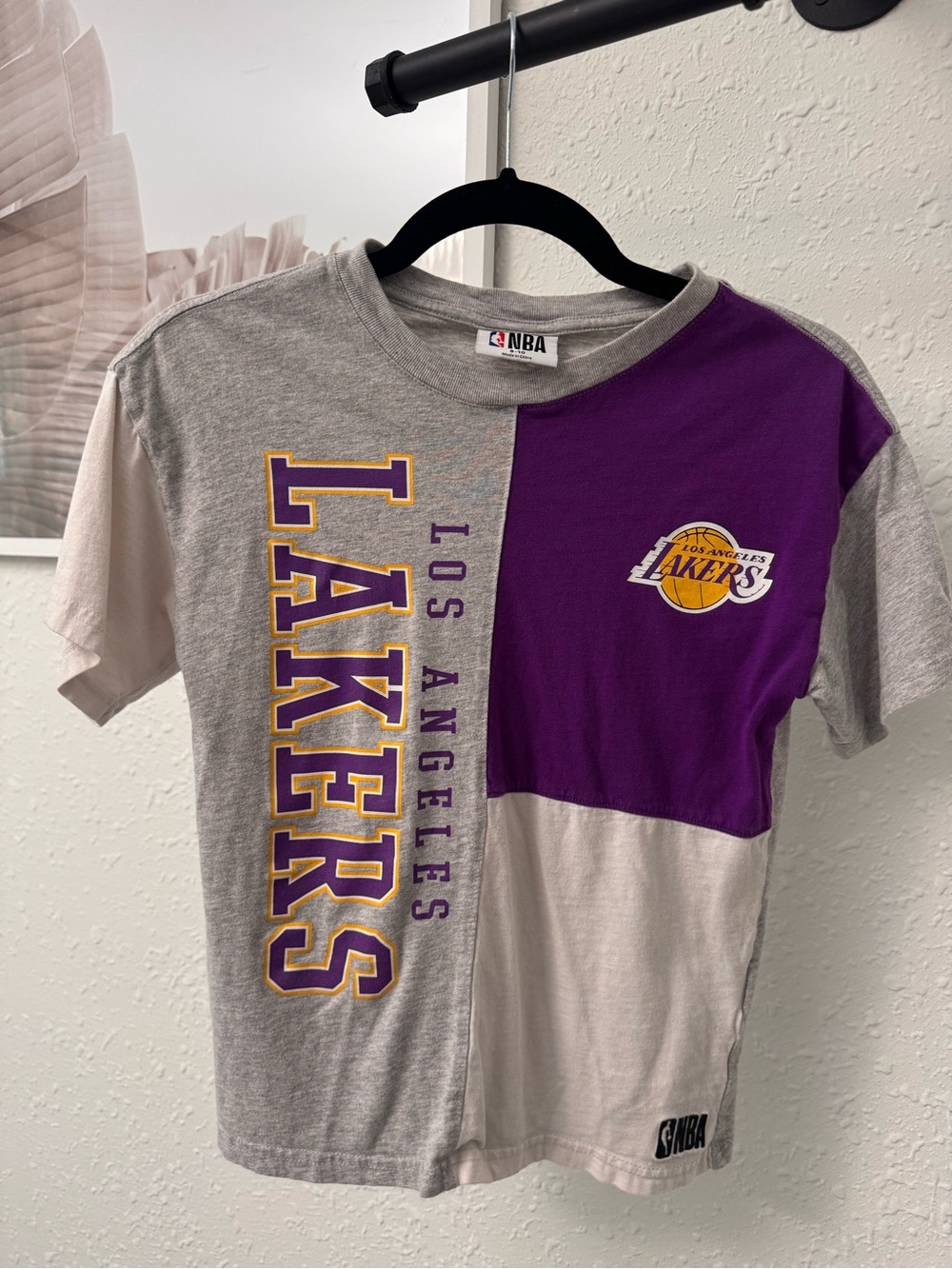 Boys NBA Los Angeles Lakers Colorblock Tee - Gray, Purple & Cream